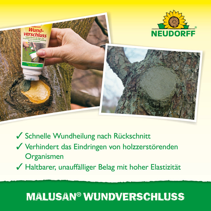 Chiusura della ferita malusana