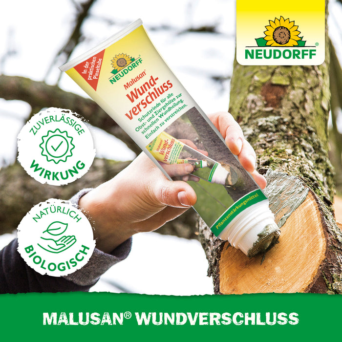 Chiusura della ferita malusana