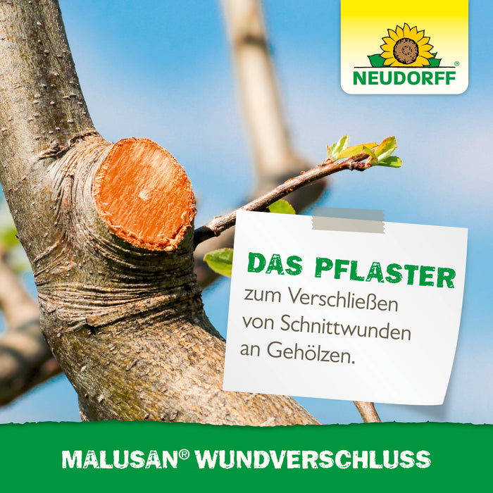 Chiusura della ferita malusana