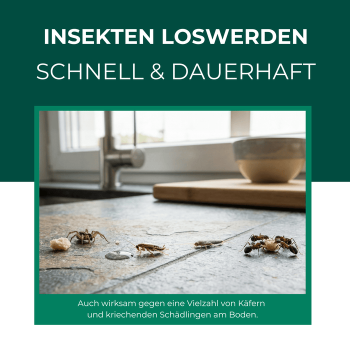 Ungeziefer/ Insektenfalle mit Spezial-Lockstoff - Silberkraft