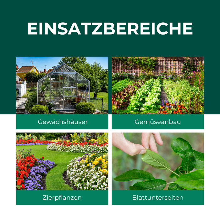 Si vede una serra in un giardino, un orto con diversi tipi di lattuga, un giardino con tanti fiori colorati e una mano che tiene una foglia. La cima di un albero verde, il tronco di un susino con frutti freschi e viola e tante prugne raccolte.