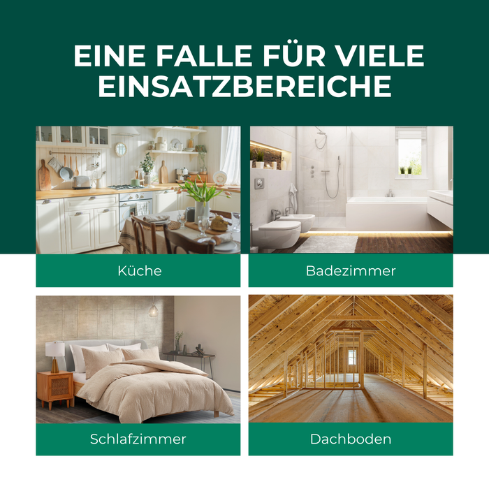 Trappola per tarme 6 pezzi