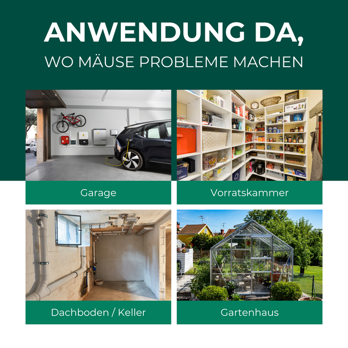 Trappola viva per topi in filo metallico - trappola per topi - alternativa adatta agli animali alle trappole a scatto e alle esche avvelenate