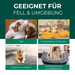 Milbenspray für Hunde – Geeignet für Fell, Hundebetten, Körbchen, Teppiche und Polster für eine effektive Milbenabwehr.