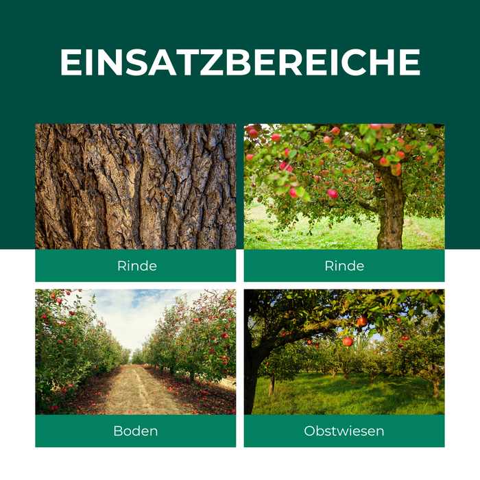 Nematodi SF contro le carpocapse