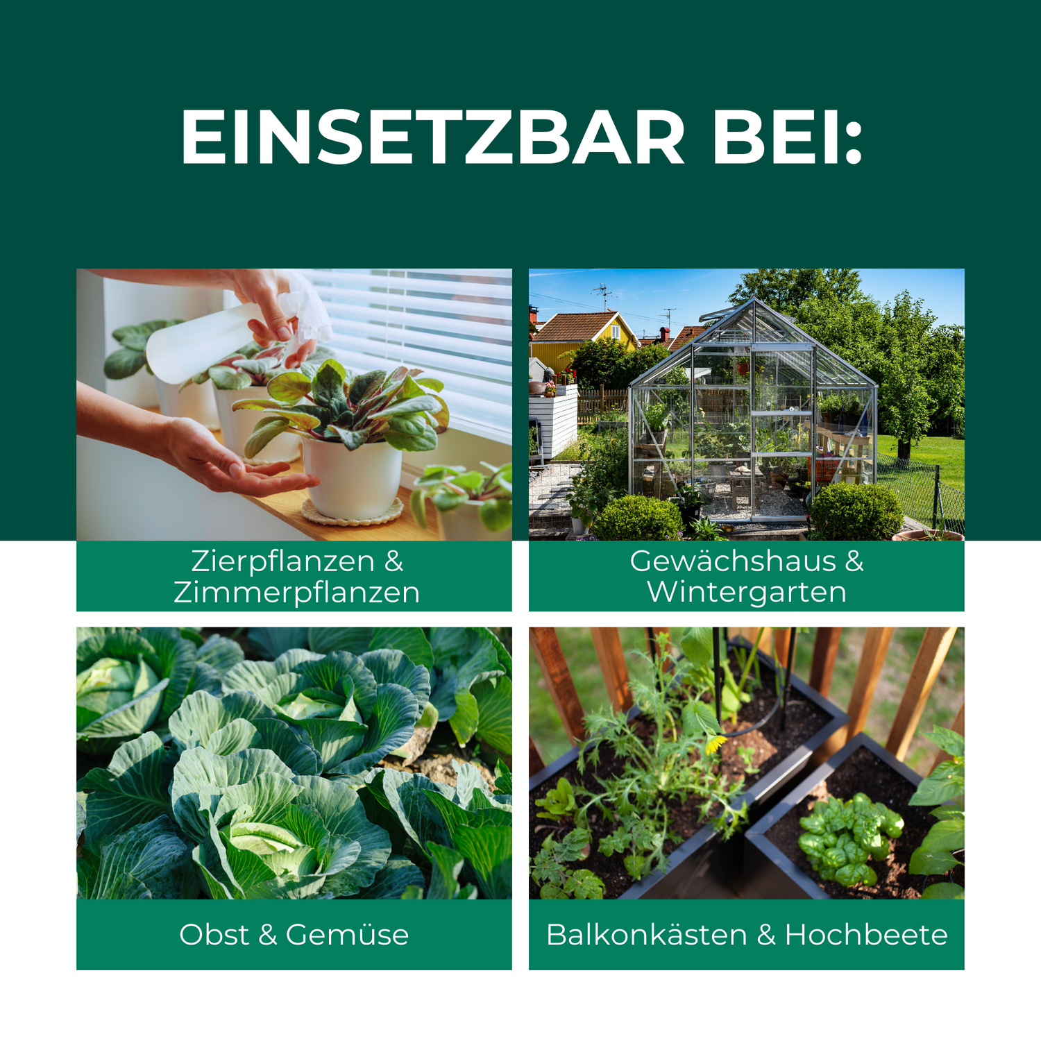 Istruzioni per l'applicazione