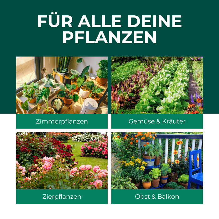 Olio di neem con emulsionante – Concentrato di olio di neem nutriente per le tue piante