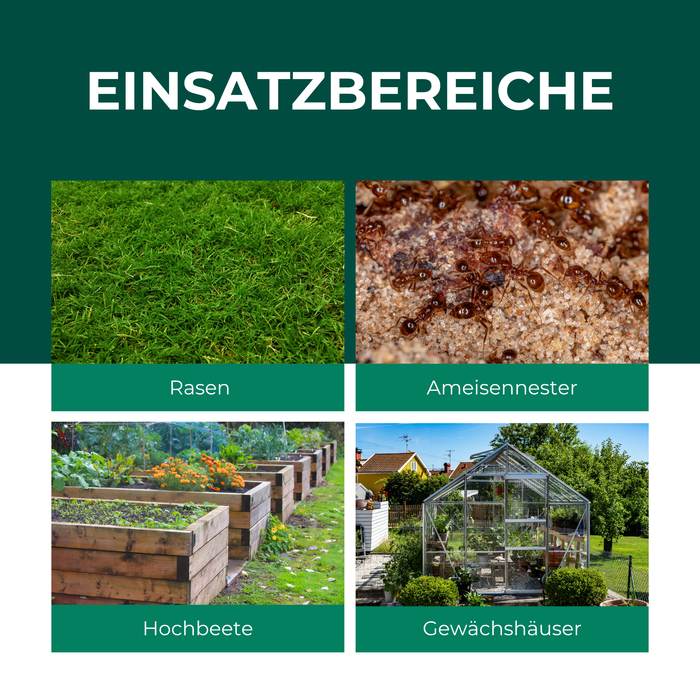 Nematodi SF contro le formiche