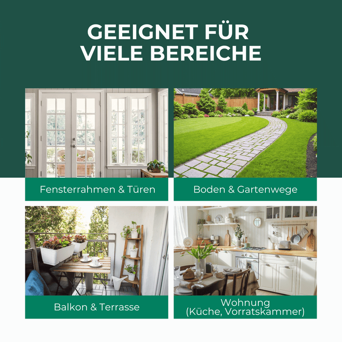 Ameisen-Ex Gel: Sofortige Lösung gegen Ameisenbefall im Innen- und Außenbereich - Silberkraft