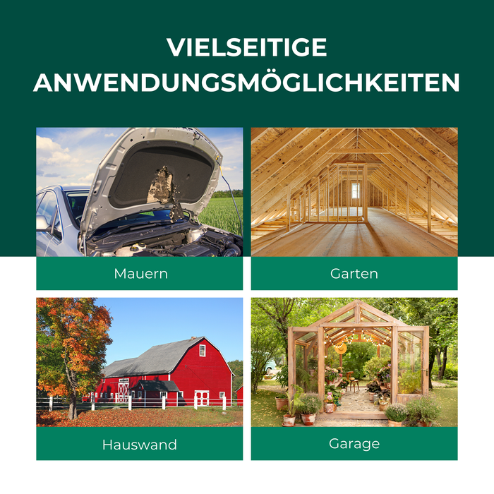 Ratti, martore e roditori ex granuli