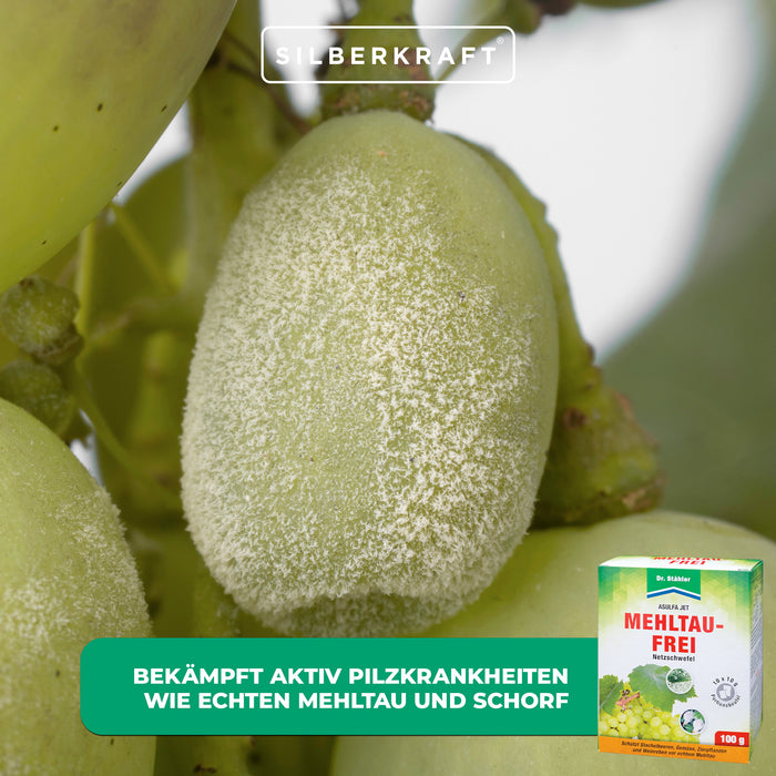 Asulfa® Jet Senza Muffa: Protezione affidabile contro muffe e acari