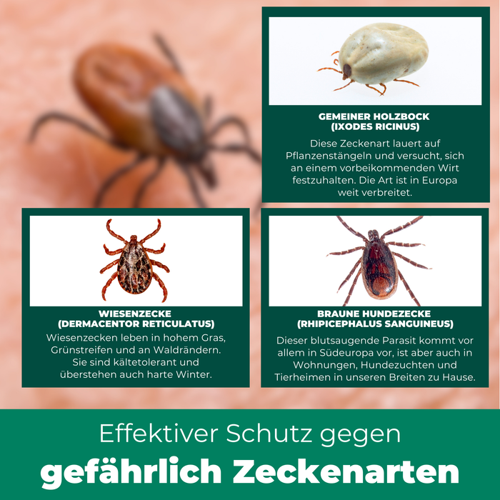 Pinzette per zecche, pinzette per zecche contro le zecche