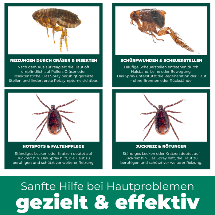 Spray per la cura degli animali domestici