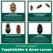 Bilder verschiedener Schädlinge, darunter Teppichkäfer, Larven, Speckkäfer und Pelzkäfer, mit kurzen Erklärungen zu ihrem Befall.