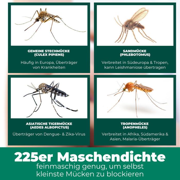 Verschiedene Mückenarten werden durch das Mückennetz ferngehalten. Dazu zählen die Stechmücken, Sandmücken, Tigermücken und Tropenmücken.