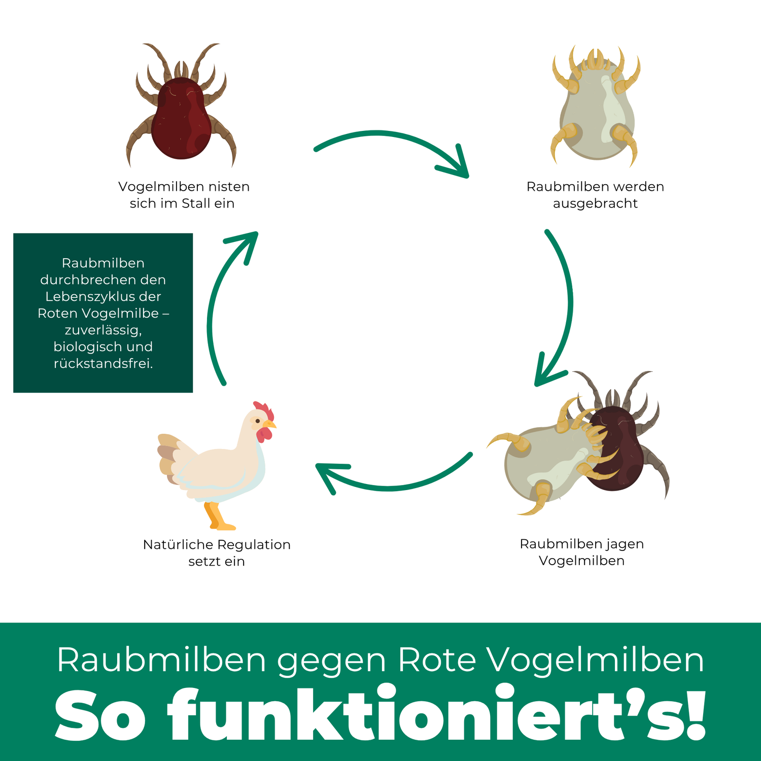 Problema e soluzione