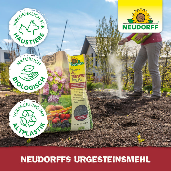Neudorffs UrgesteinsMehl - Silberkraft