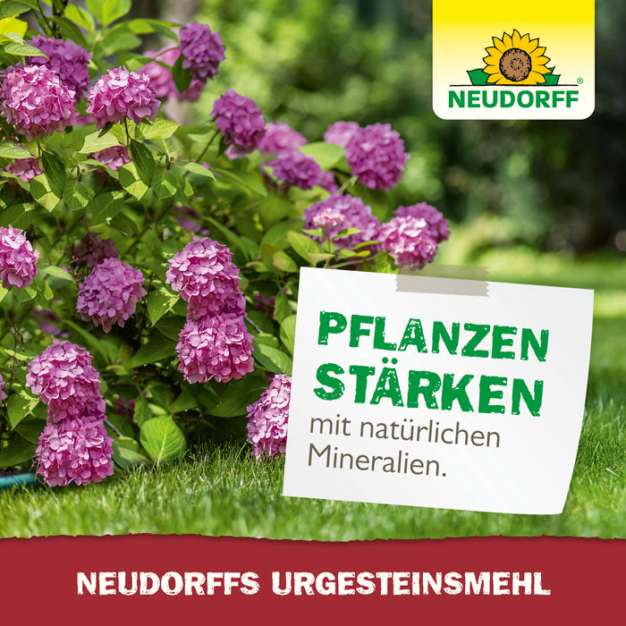 Neudorffs UrgesteinsMehl - Silberkraft