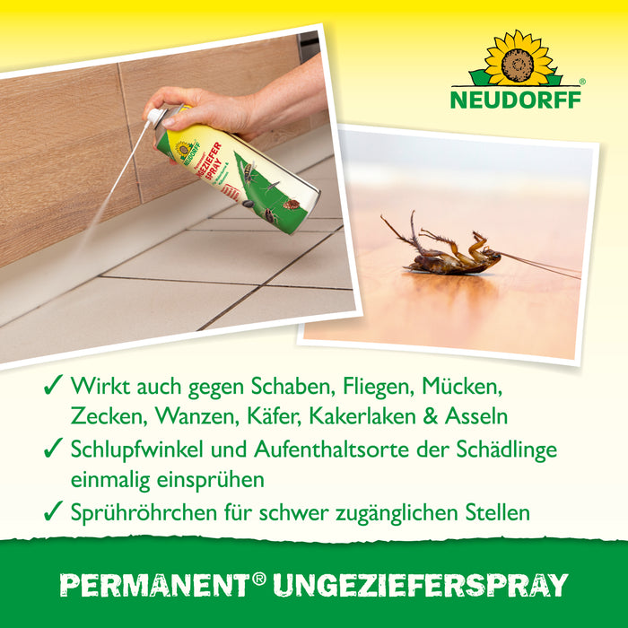 Spray insetticida permanente