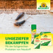 Neudorff Permanent FliegenFänger - Silberkraft