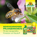 Neudorff Spruzit OrchideenSchädlingsSpray (auch gegen Thripse & Weiße Fliege) - Silberkraft