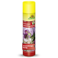 Neudorff Spruzit AF Orchidea esente da parassiti