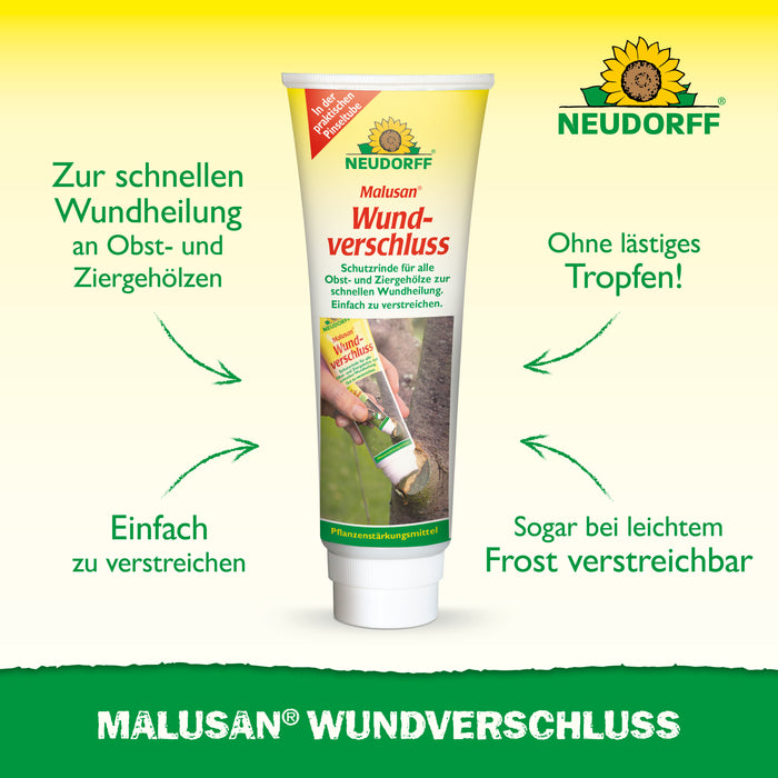 Chiusura della ferita malusana