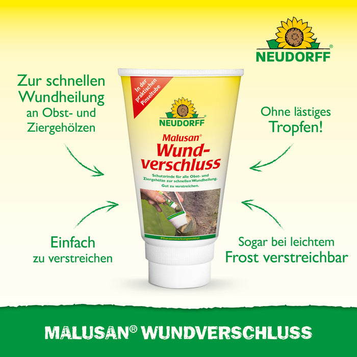 Chiusura della ferita malusana