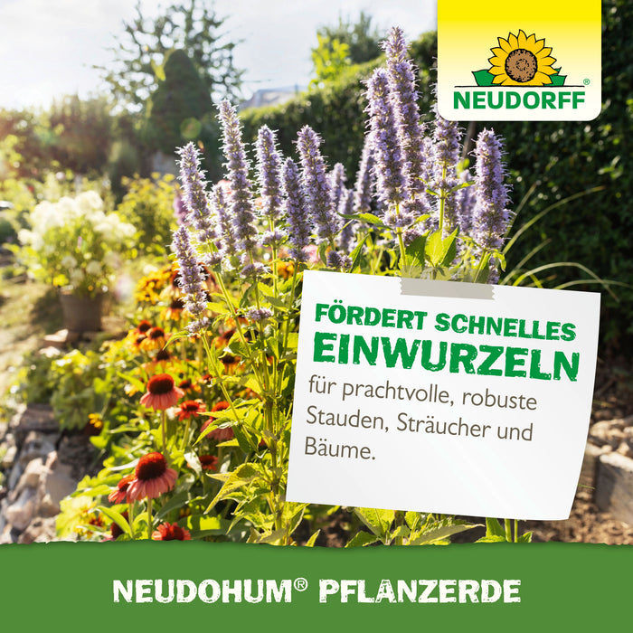 Neudorff NeudoHum PflanzErde - Silberkraft