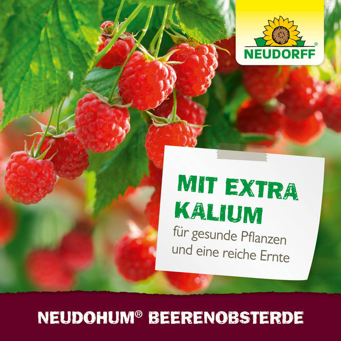 Neudorff NeudoHum BeerenobstErde - Silberkraft