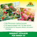 Neudorff BioKraft trattamento vitale per le rose