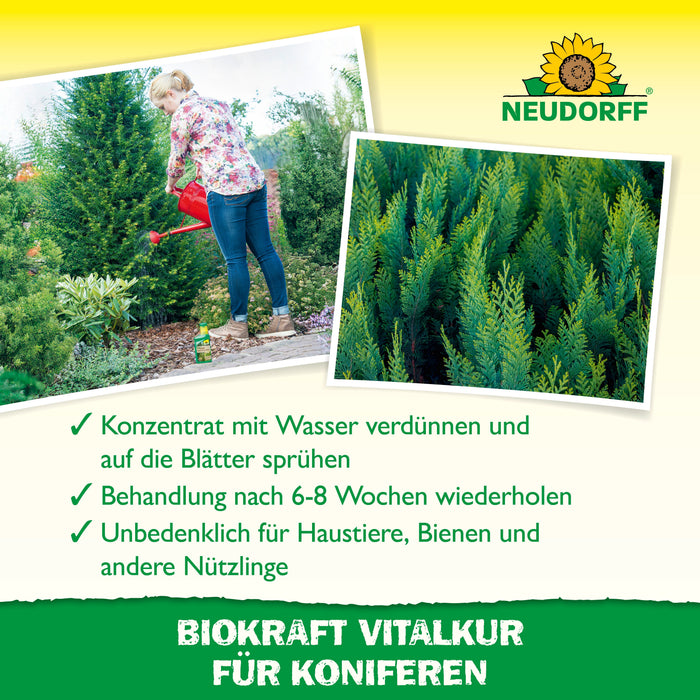 Neudorff BioKraft Vitalkur für Koniferen - Silberkraft