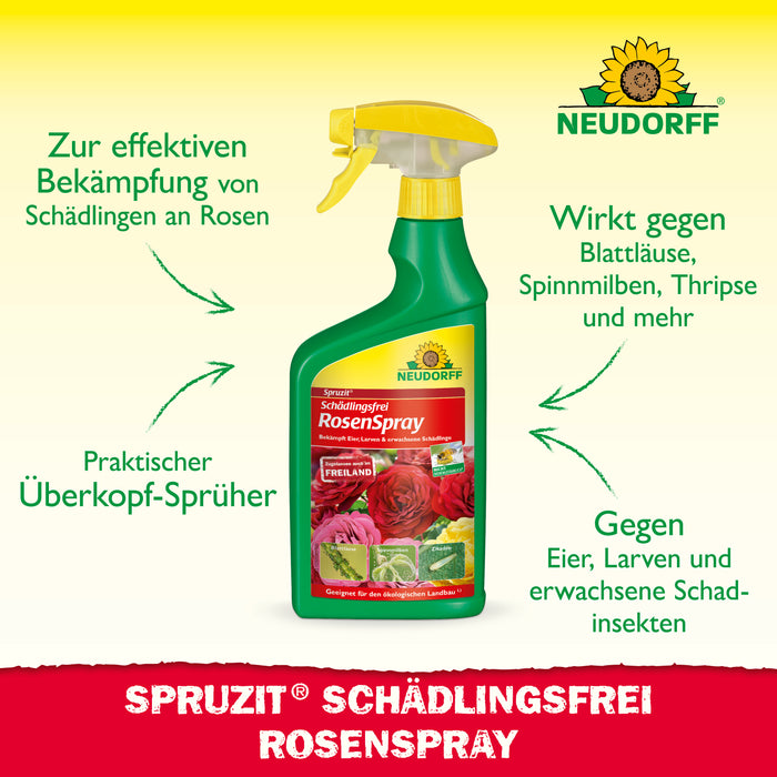 Spruzit senza moscerini dei funghi