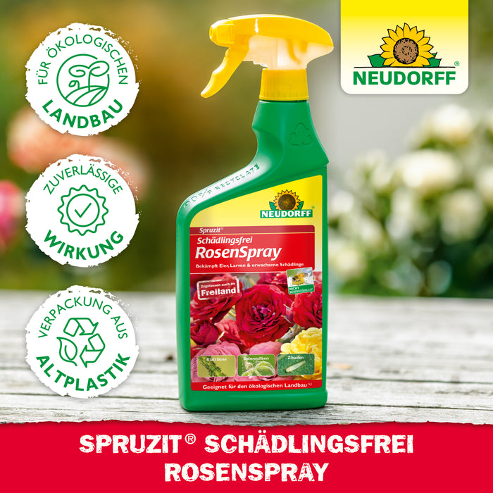 Spruzit senza moscerini dei funghi