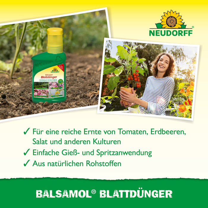 Neudorff Balsamol Blattdünger - Silberkraft