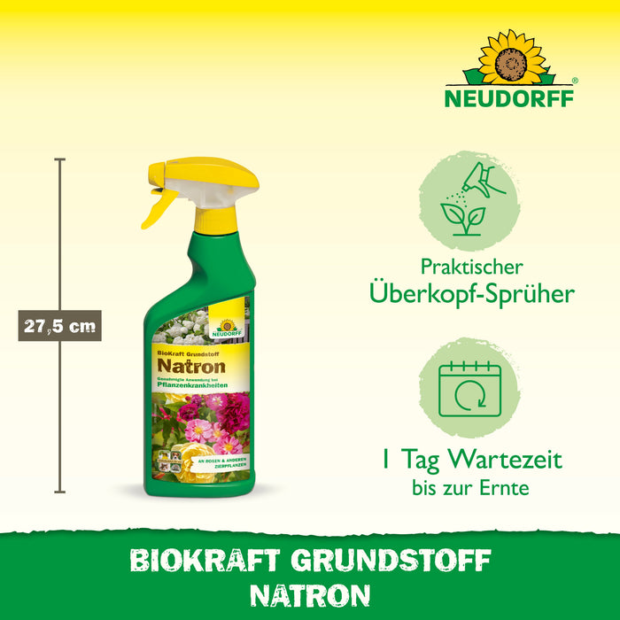 Neudorff BioKraft Grundstoff Natron - Silberkraft