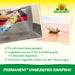 Spray anti-insetto permanente