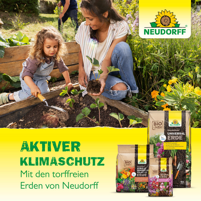 Neudorff NeudoHum Kakteen- & SukkulentenErde - Silberkraft