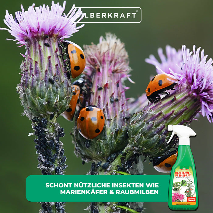 Spray antiafidi: protezione efficace per frutta, verdura e piante ornamentali