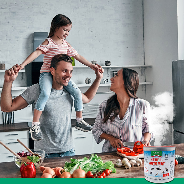 Efficace controllo dei parassiti: nebulizzatore per interni altamente efficace