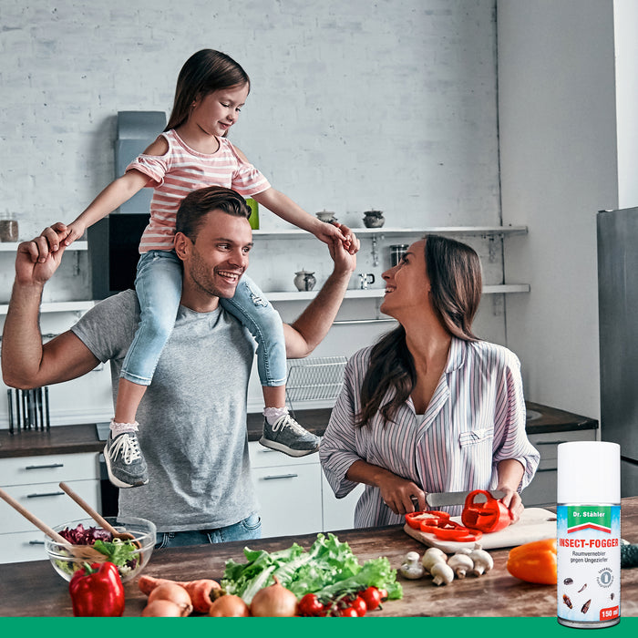 Nebulizzatore per insetti: macchina nebulizzatrice per ambienti contro parassiti come scarafaggi, scarafaggi e tarme