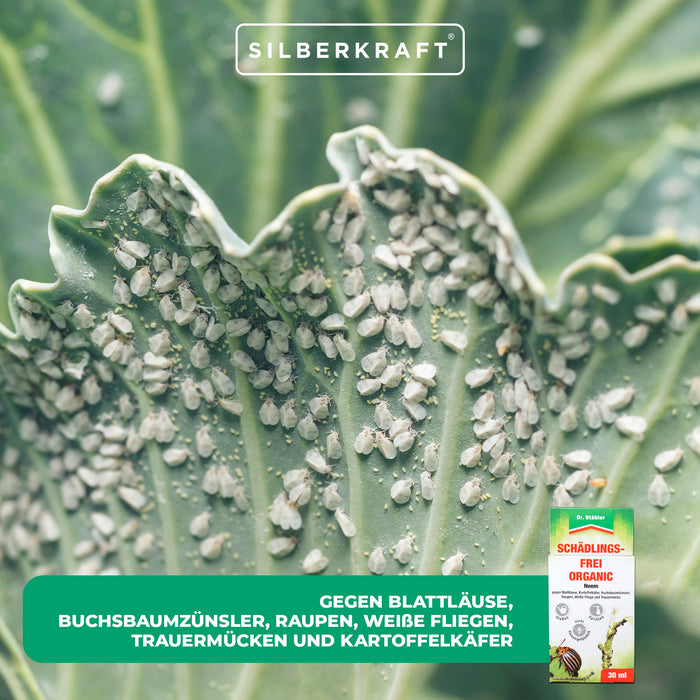 Biologico senza parassiti con estratto di albero di neem: protezione contro i parassiti