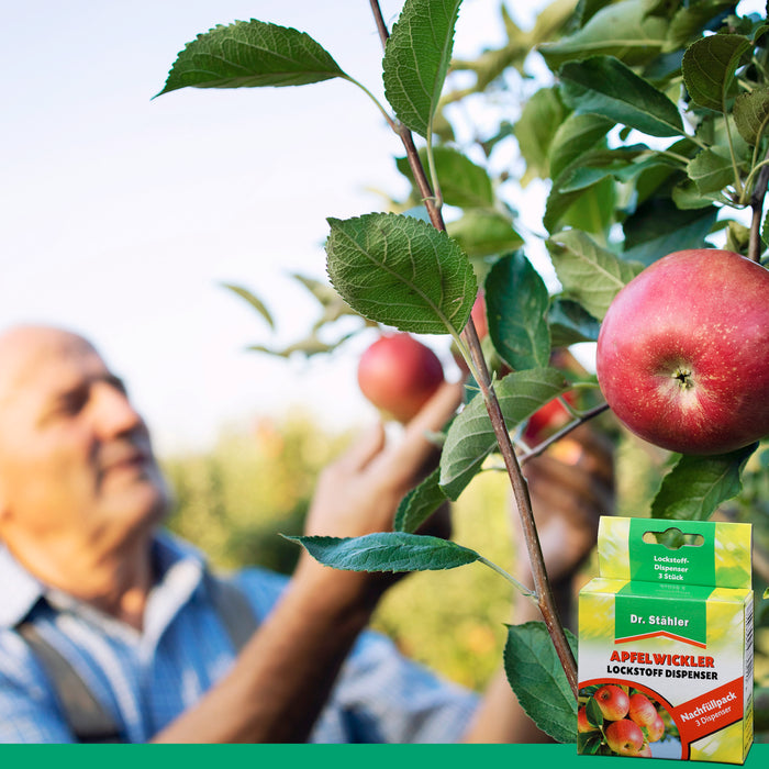 Confezione di ricarica dell'attrattivo ai feromoni della carpocapsa: protezione efficace per gli alberi da frutto