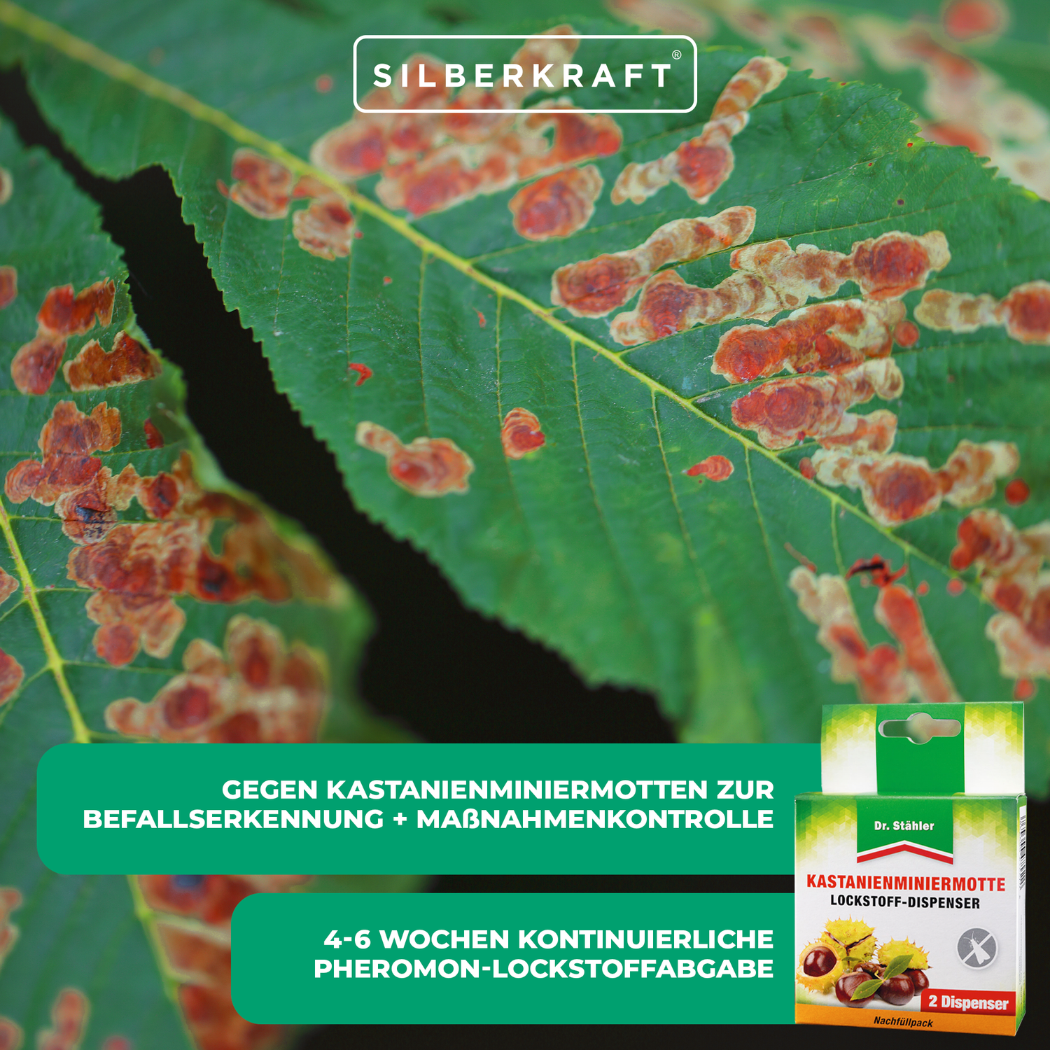 Dispenser attrattivo minatore fogliare di castagno - protezione per l'ippocastano