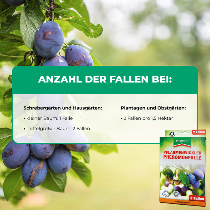 Trappola a feromoni per tarma delle prugne: ideale per susini in giardini e piantagioni