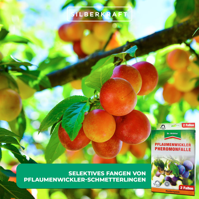 Trappola a feromoni per tarma delle prugne: ideale per susini in giardini e piantagioni