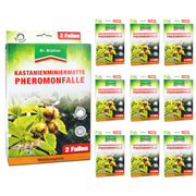 Efficace trappola ai feromoni contro i minatori delle foglie di castagno