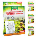 Efficace trappola multipla a feromoni per minatori di foglie di castagno per tutte le specie di castagni - Silberkraft