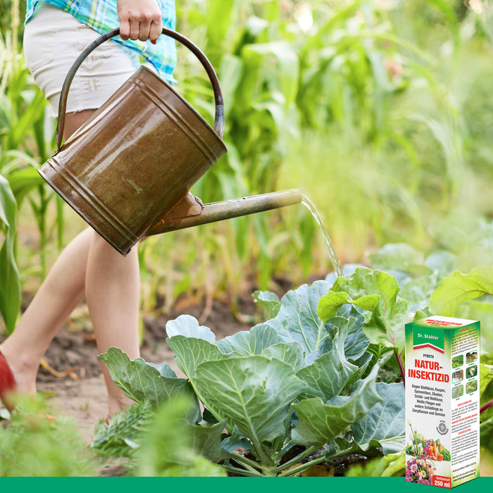 Insetticida naturale Pyreth: Protezione ottimale dagli insetti per piante ornamentali, coltivazione di frutta e verdura