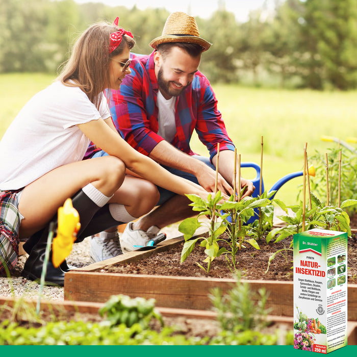 Insetticida naturale Pyreth: Protezione ottimale dagli insetti per piante ornamentali, coltivazione di frutta e verdura